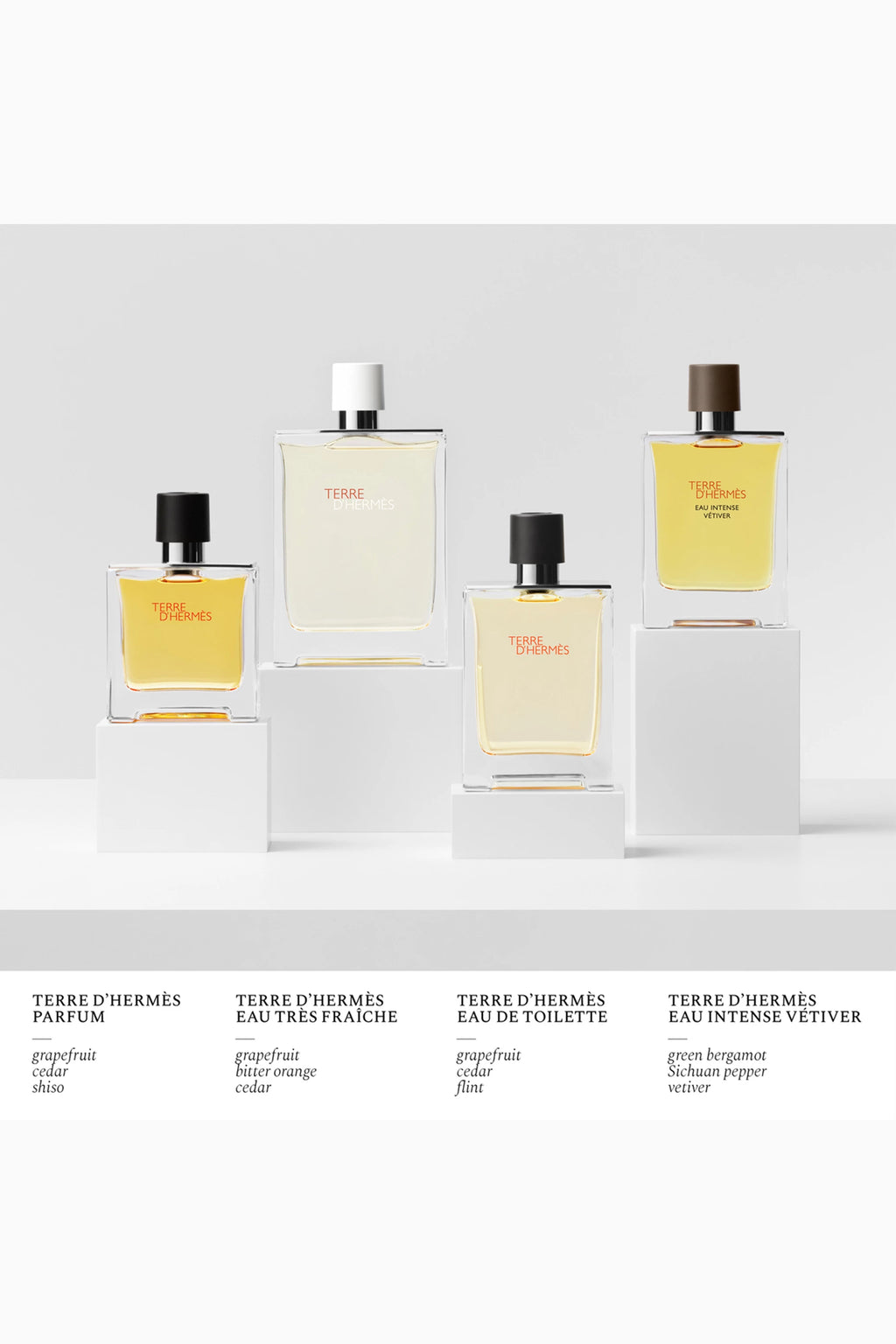 Terre d’Hermès Eau de Toilette