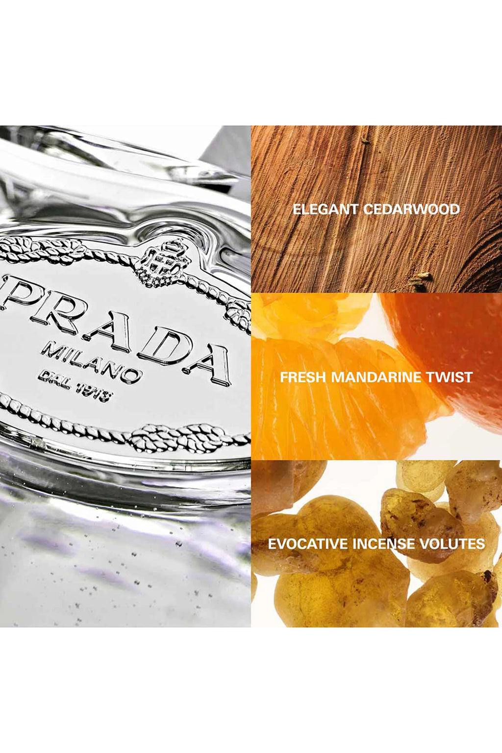 Les Infusions de Prada Cèdre Eau de Parfum