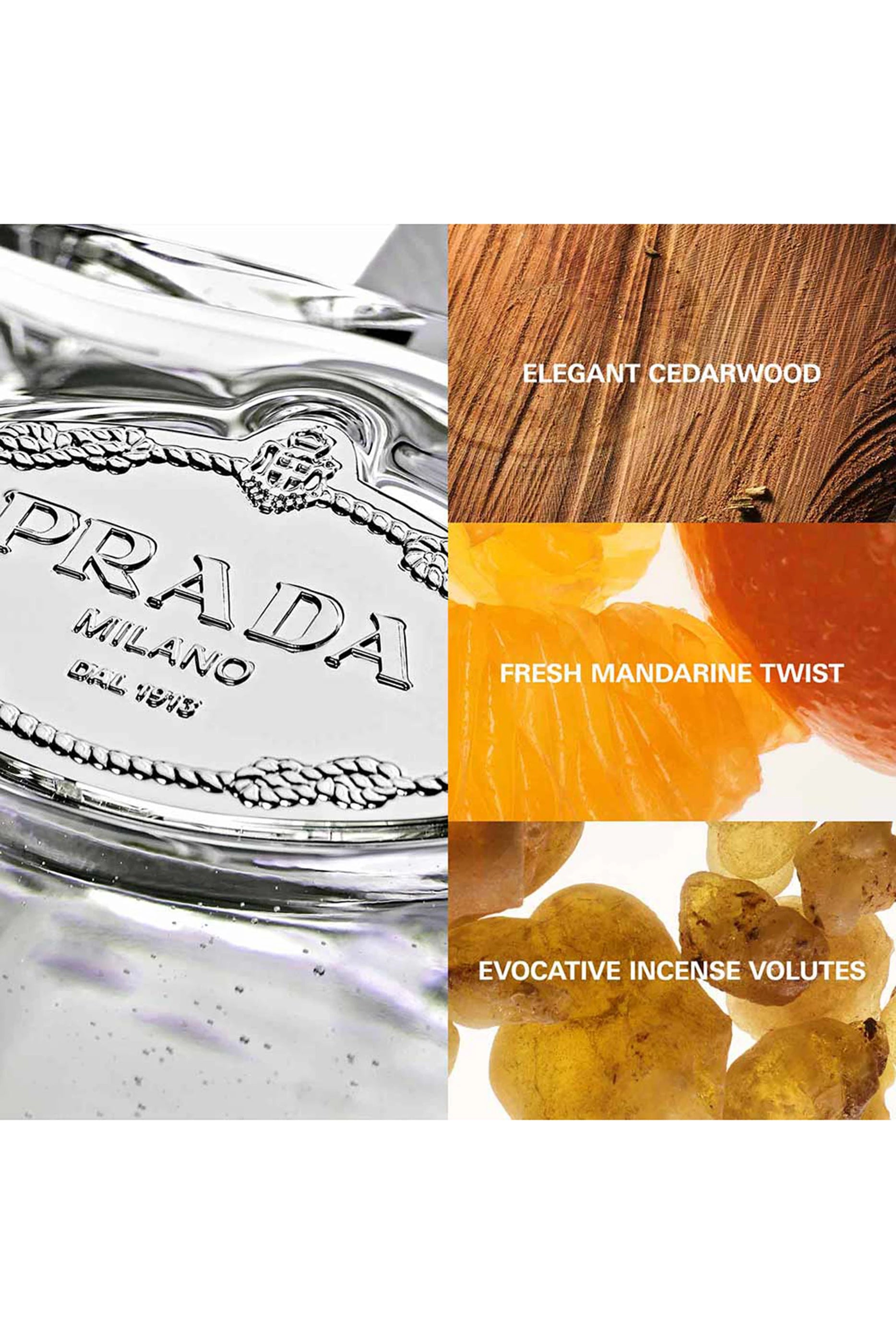 Les Infusions de Prada Cèdre Eau de Parfum