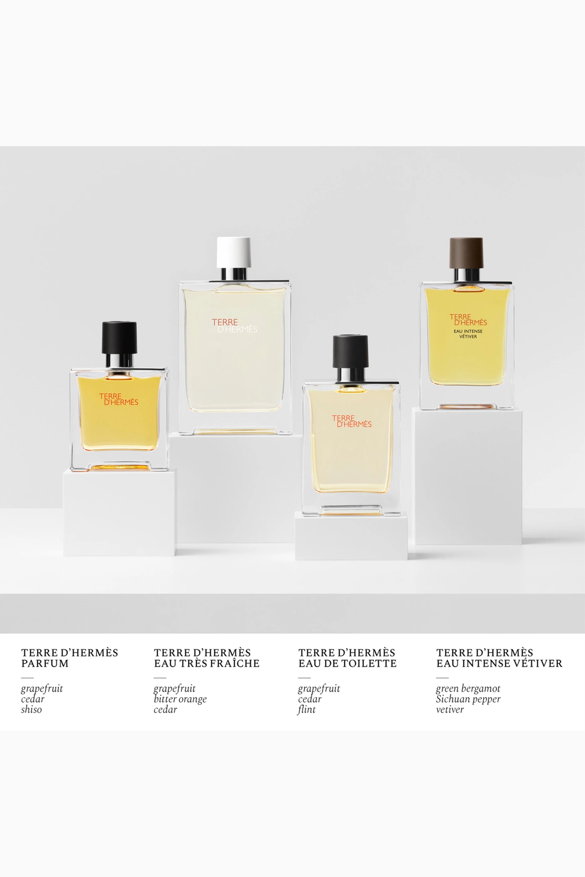 Terre d'Hermès Eau Intense Vétiver Eau de Parfum