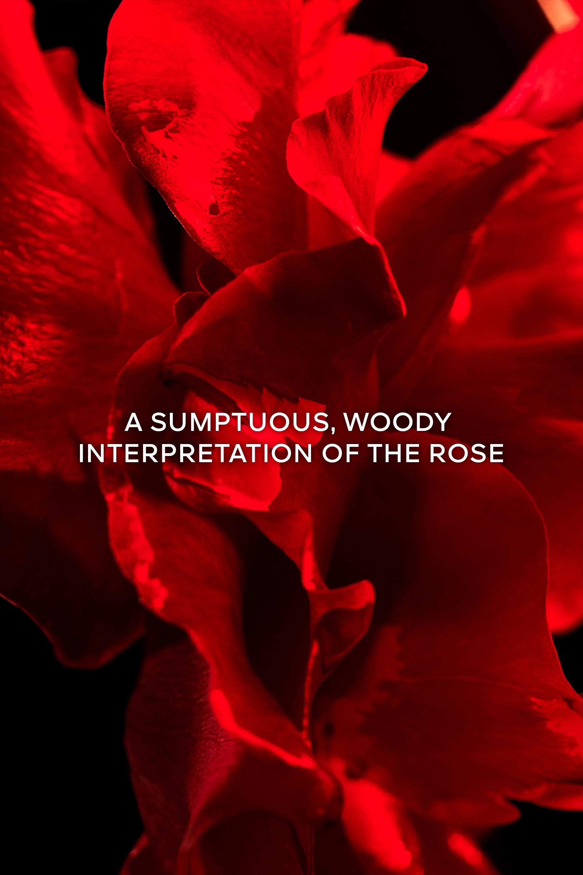 Rose Barbare Eau de Parfum