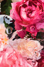 Aqua Allegoria Rosa Rossa Eau de Toilette