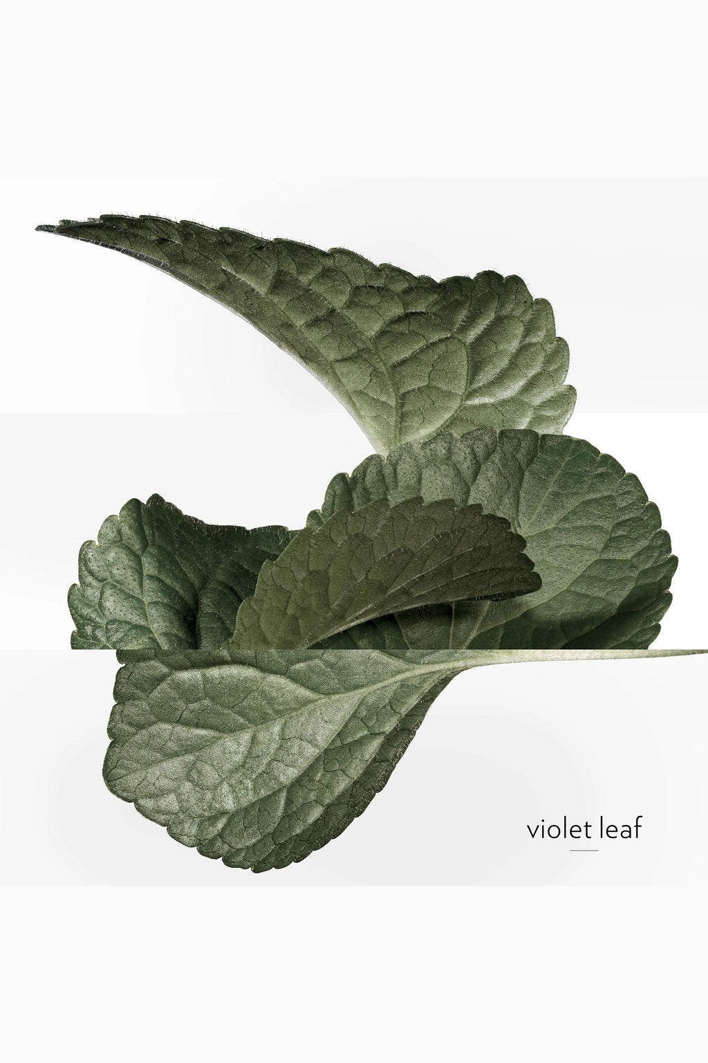 Hermessence Violette Volynka Eau de Toilette