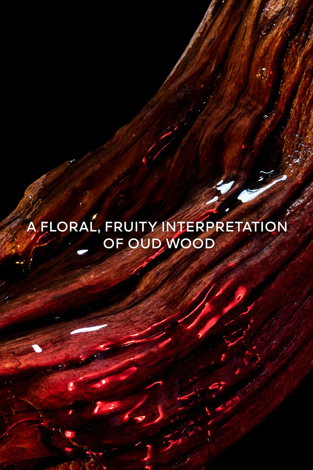Cherry Oud Eau de Parfum