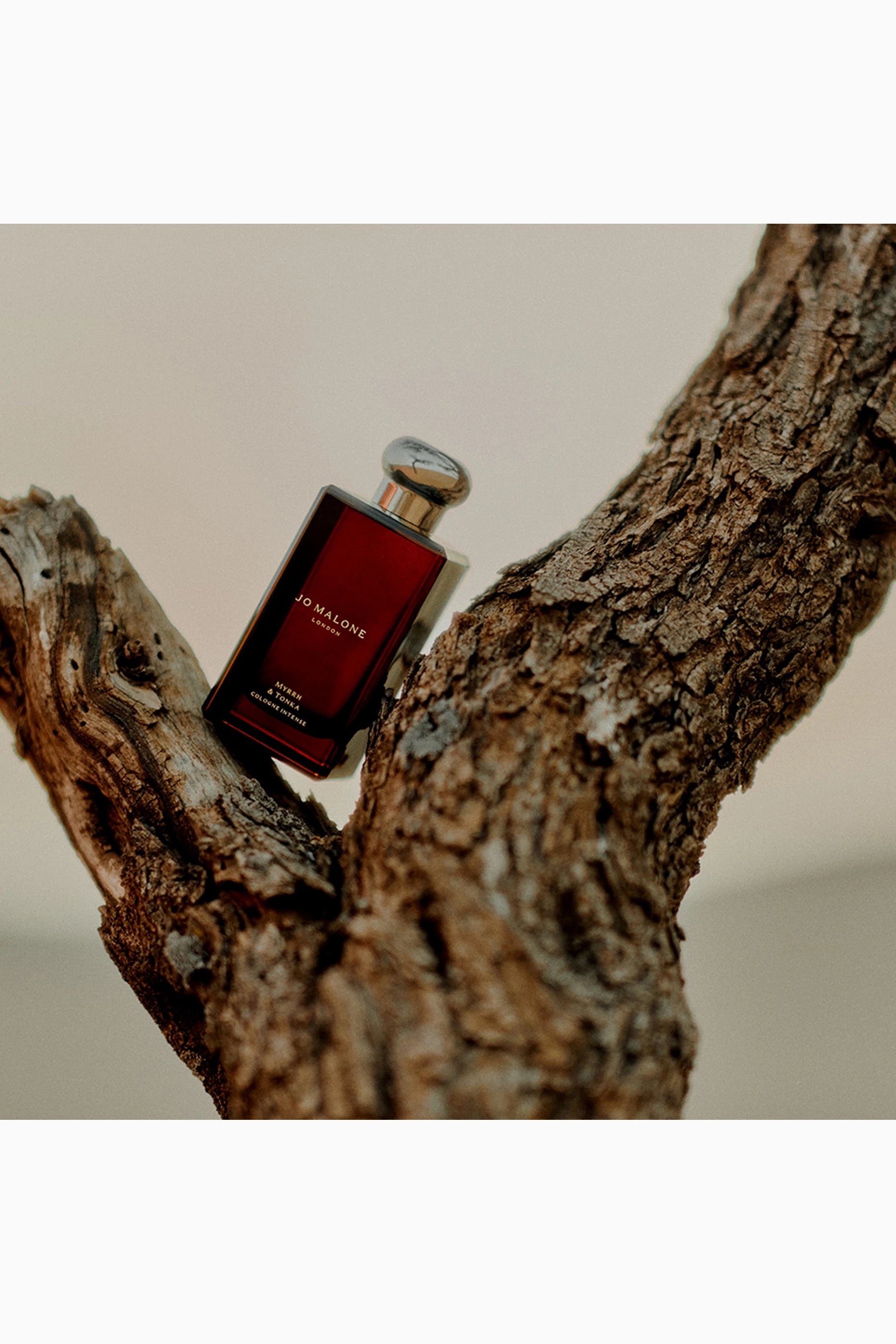 Myrrh & Tonka Eau de Parfum Intense