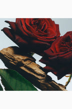 Velvet Rose & Oud Cologne Intense