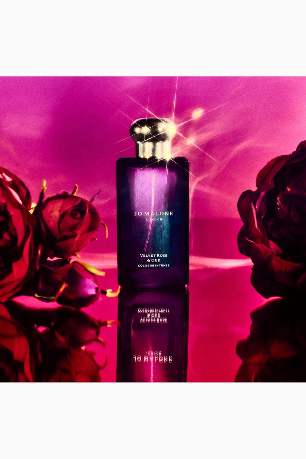 Velvet Rose & Oud Eau de Parfum Intense