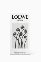 Agua Eau de Toilette