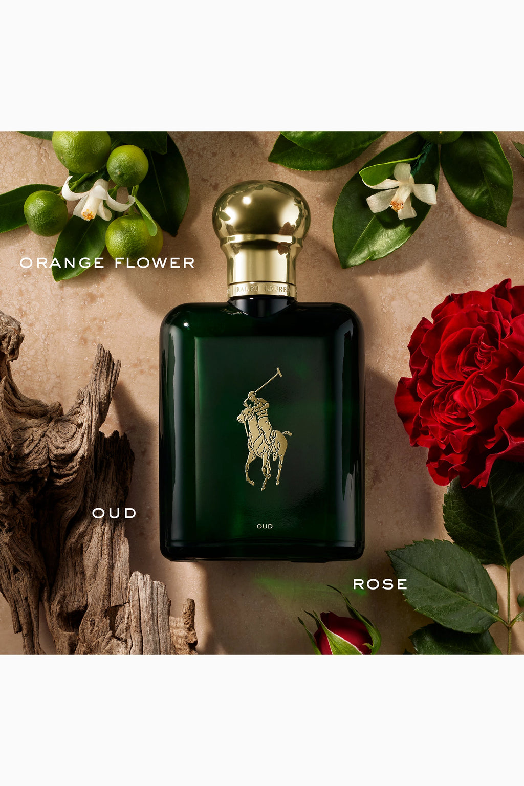 Polo Oud Eau de Parfum