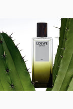 Esencia Elixir Eau de Parfum