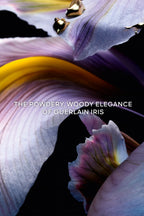 Iris Pallida Extrait 6