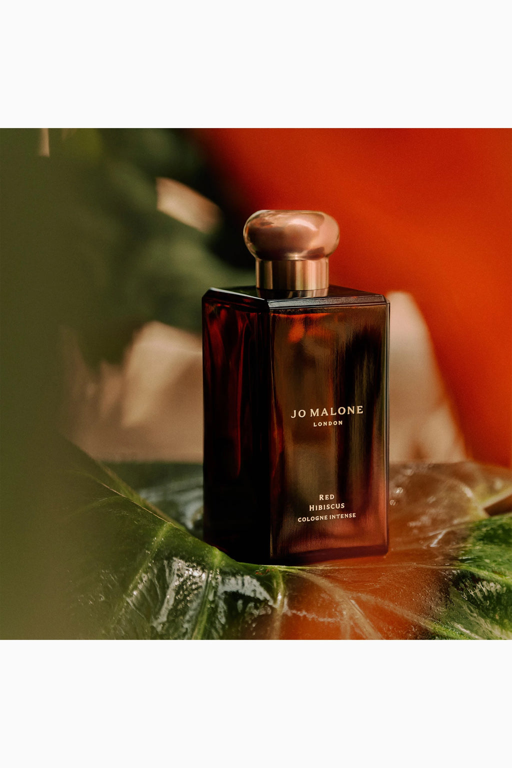 Red Hibiscus Cologne Intense