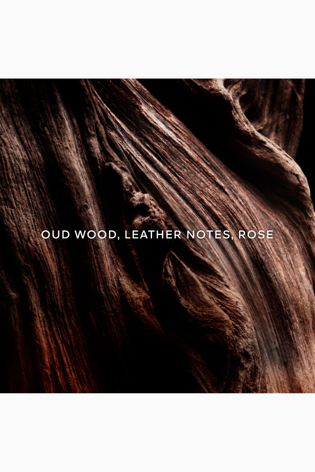 Oud Essentiel Eau de Parfum