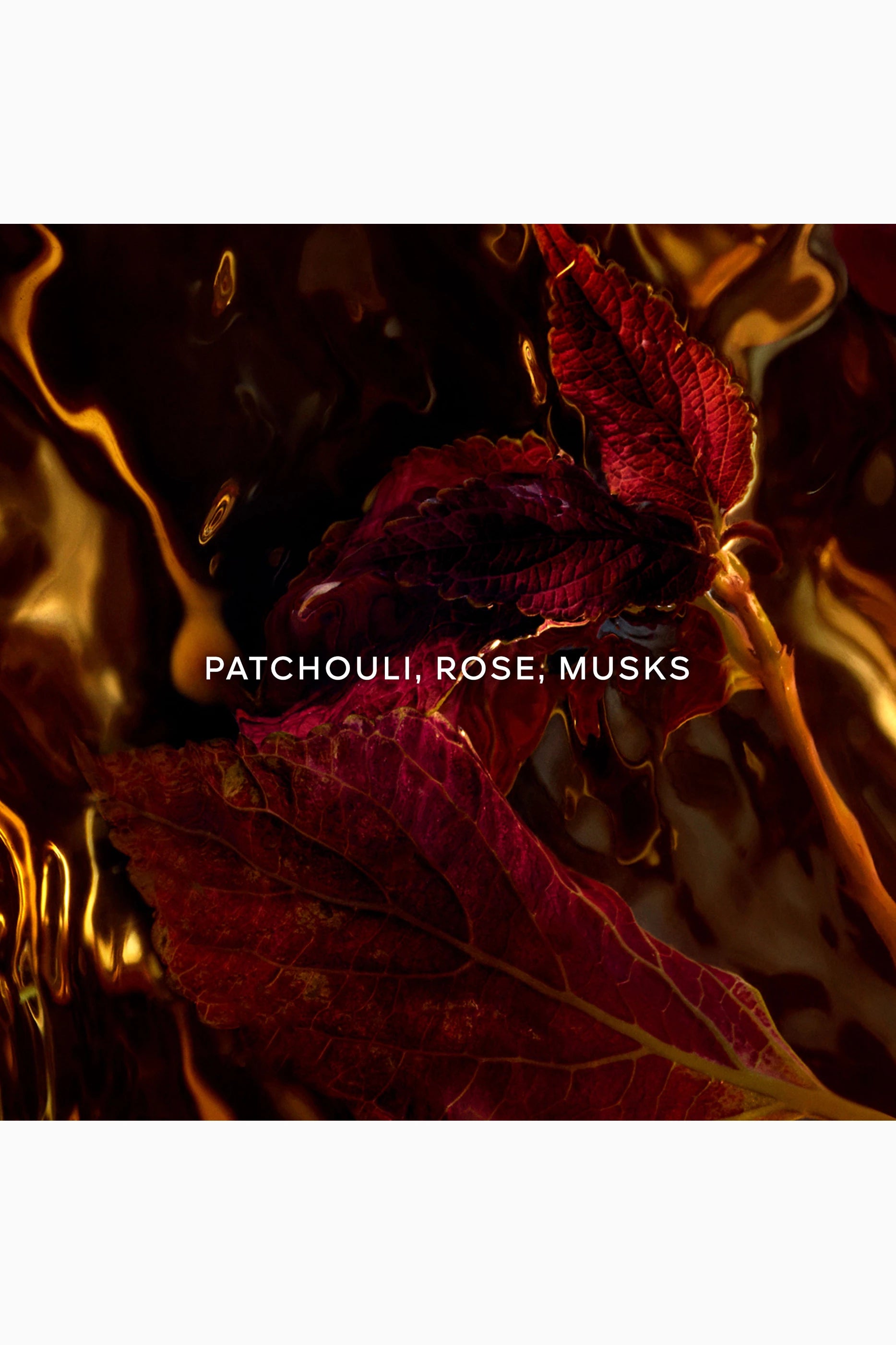 Patchouli Ardent Eau de Parfum