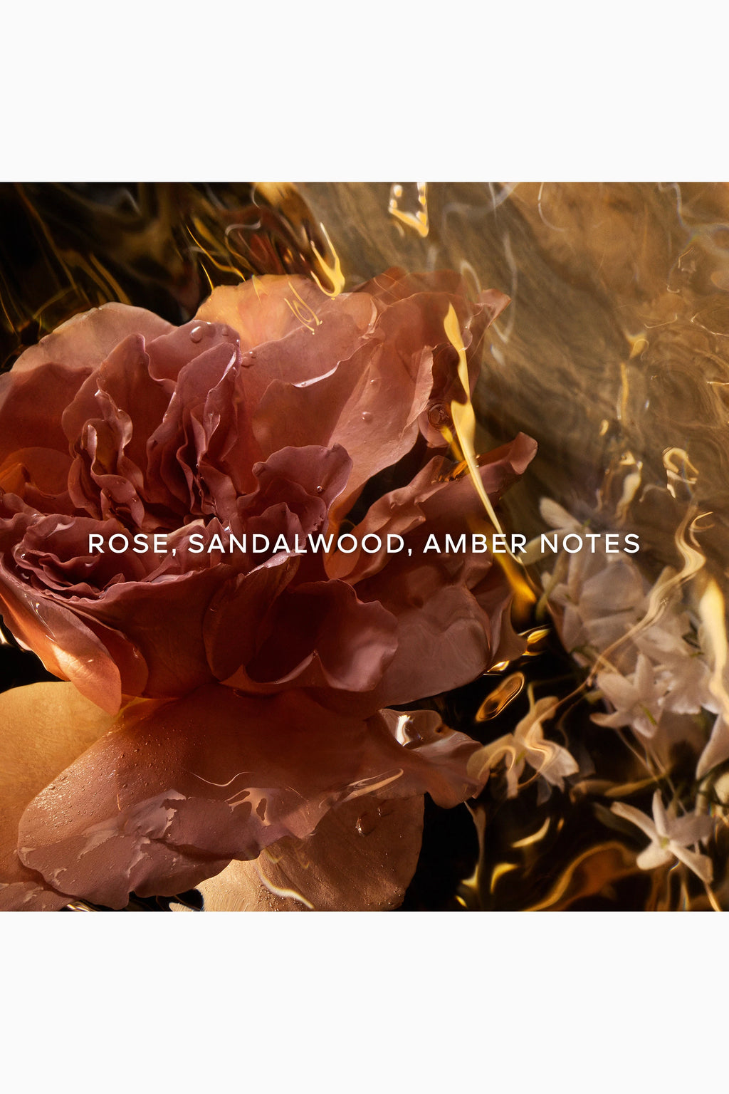 Santal Royal 24 Eau de Parfum