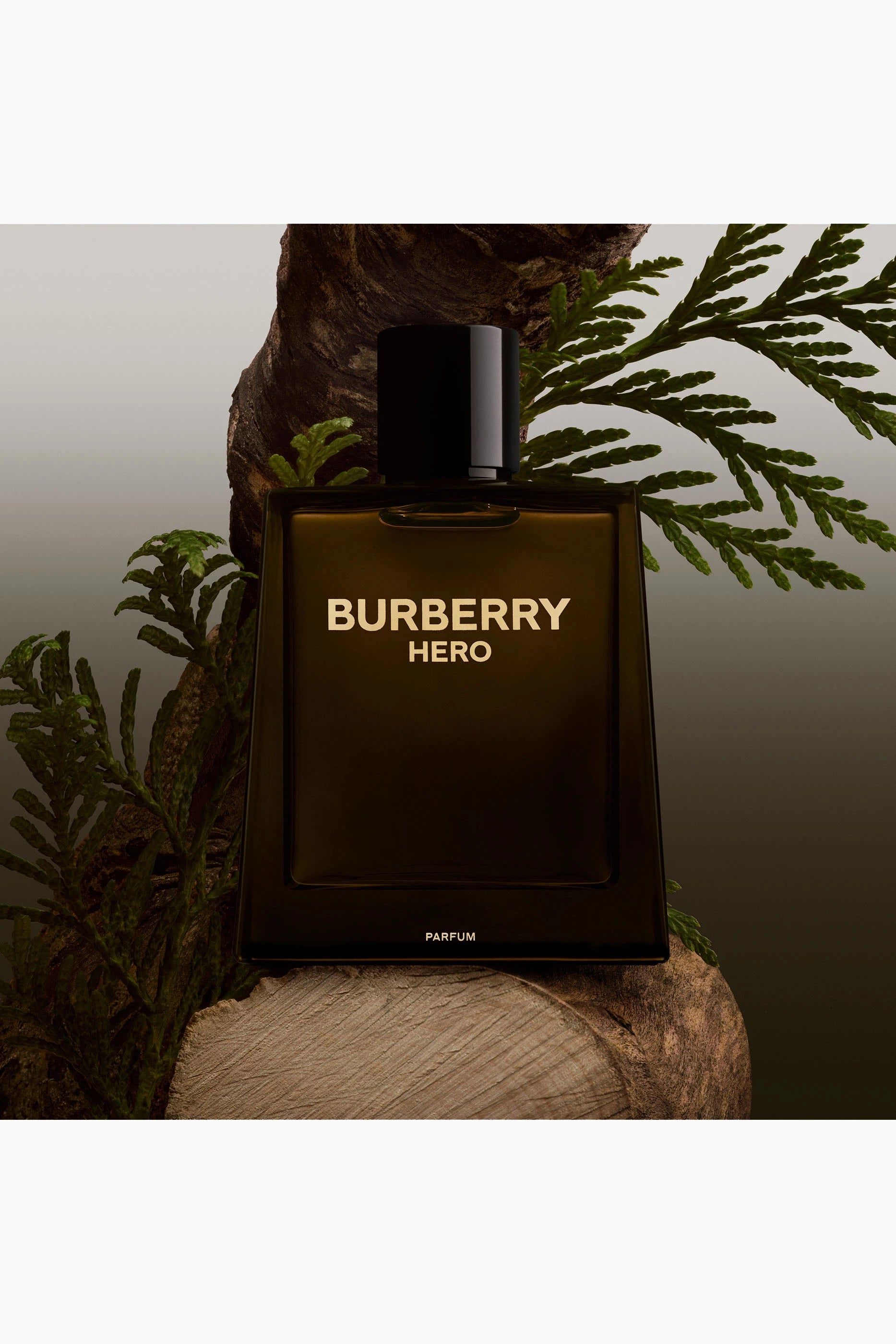 Hero Parfum