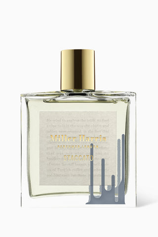 100ml option for Staccato Eau de Parfum