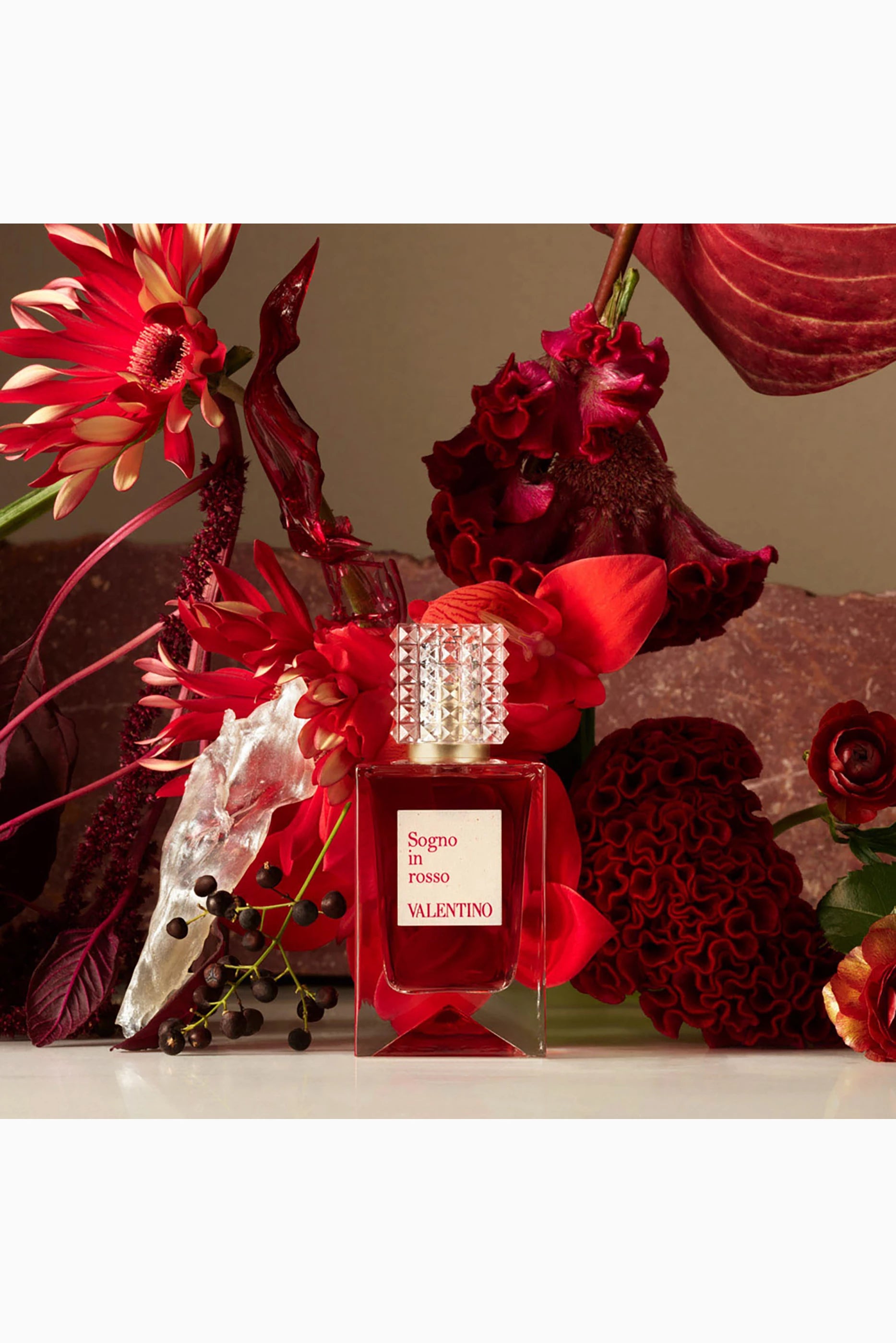 Anatomy Of Dreams Sogno In Rosso Eau de Parfum