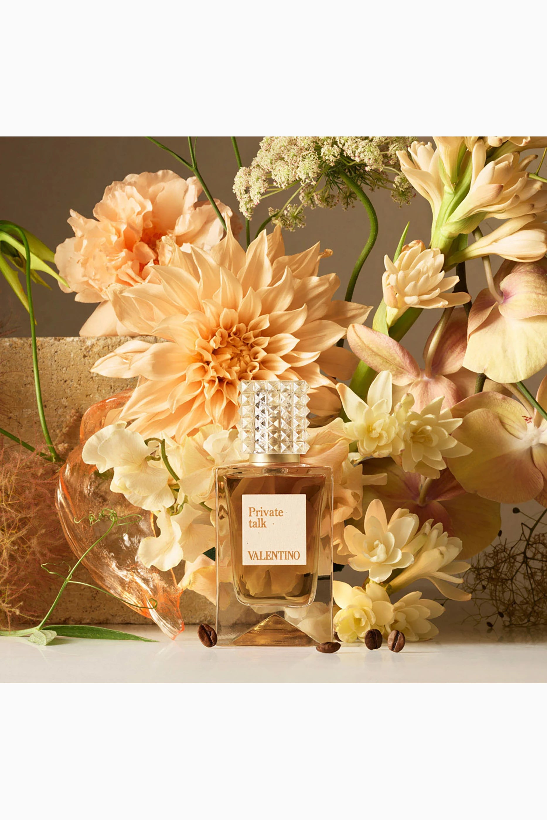 Anatomy Of Dreams Private Talk Eau de Parfum