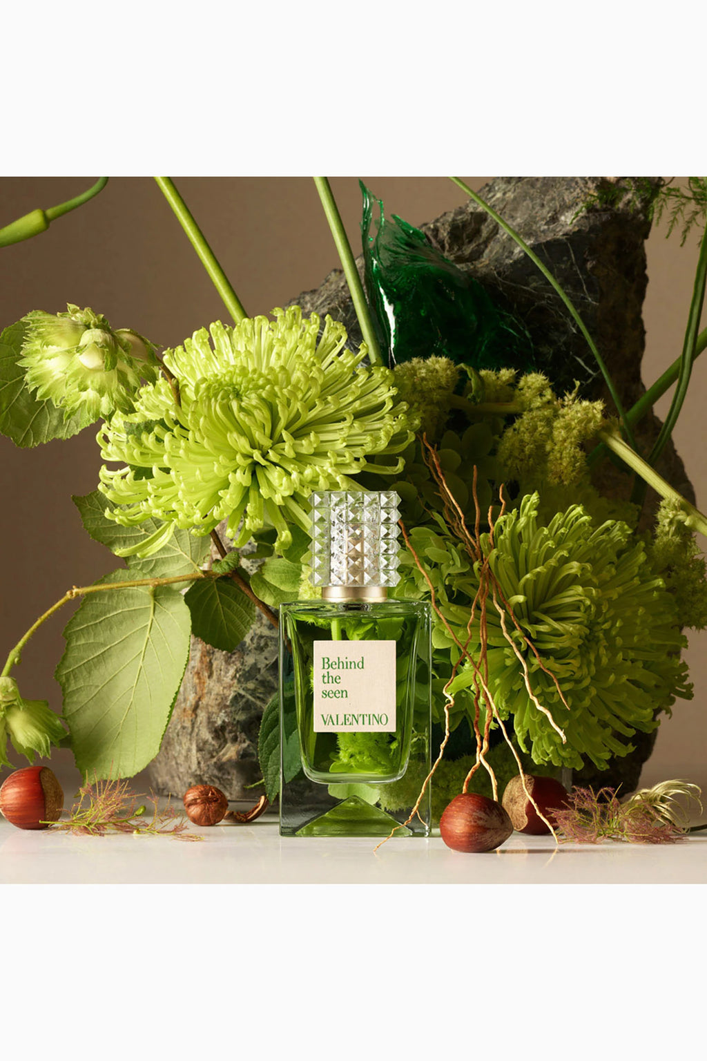 Anatomy Of Dreams Behind The Seen Eau de Parfum
