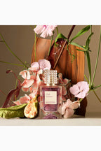 Anatomy Of Dreams Club Couture Eau de Parfum