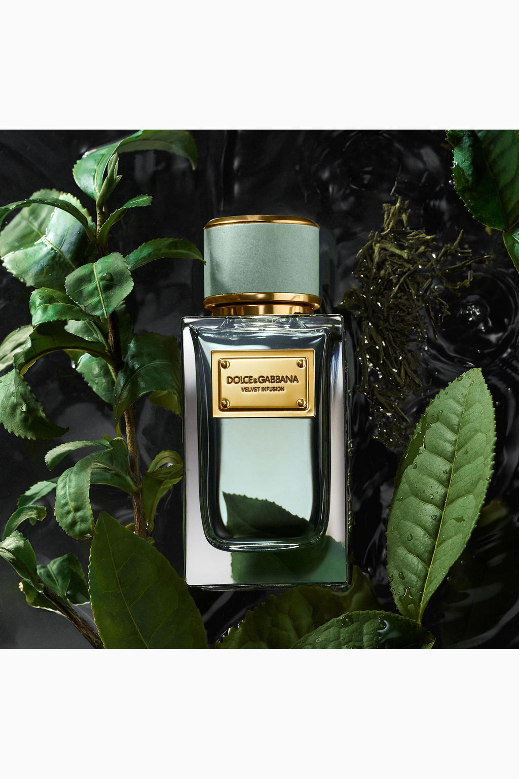 Velvet Infusion Eau de Parfum
