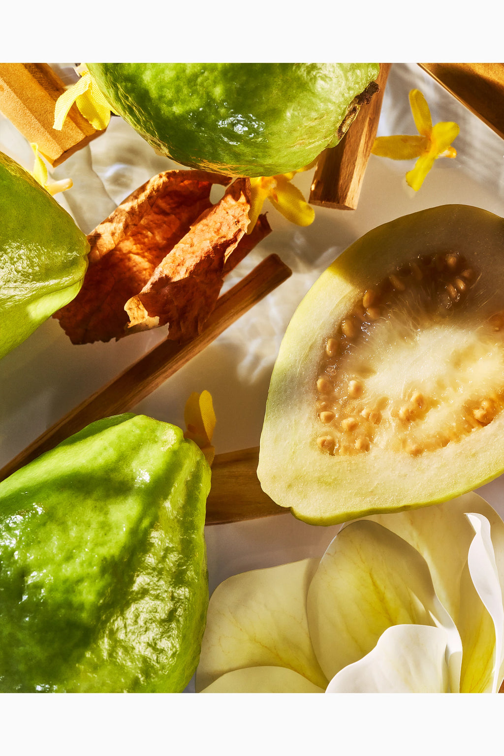 Isola Verde Parfum