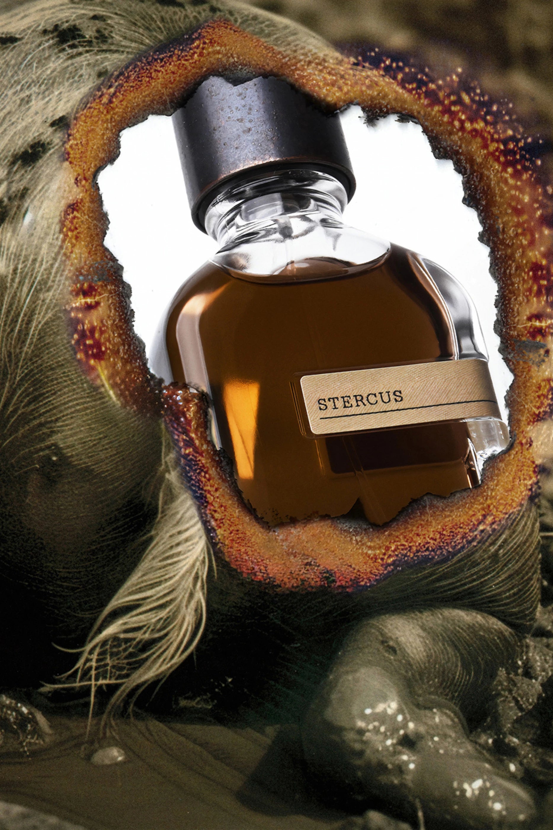 Stercus Extrait de Parfum