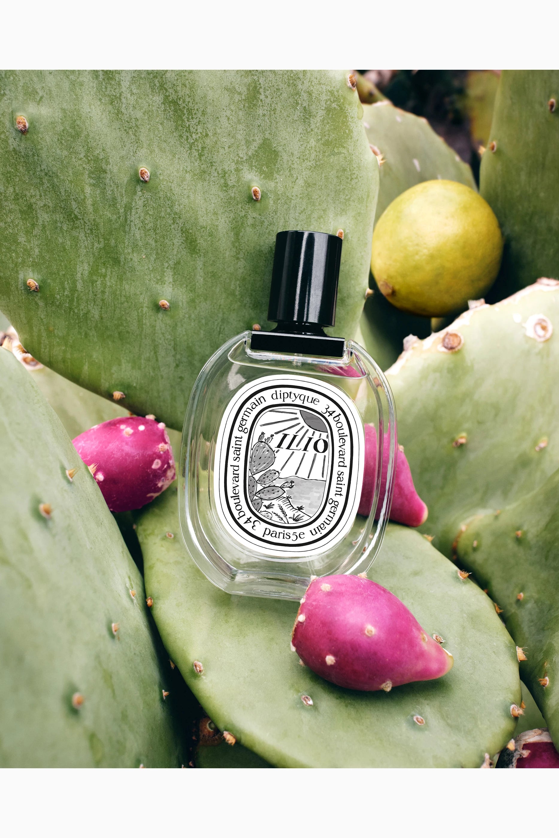 Ilio Eau de Toilette
