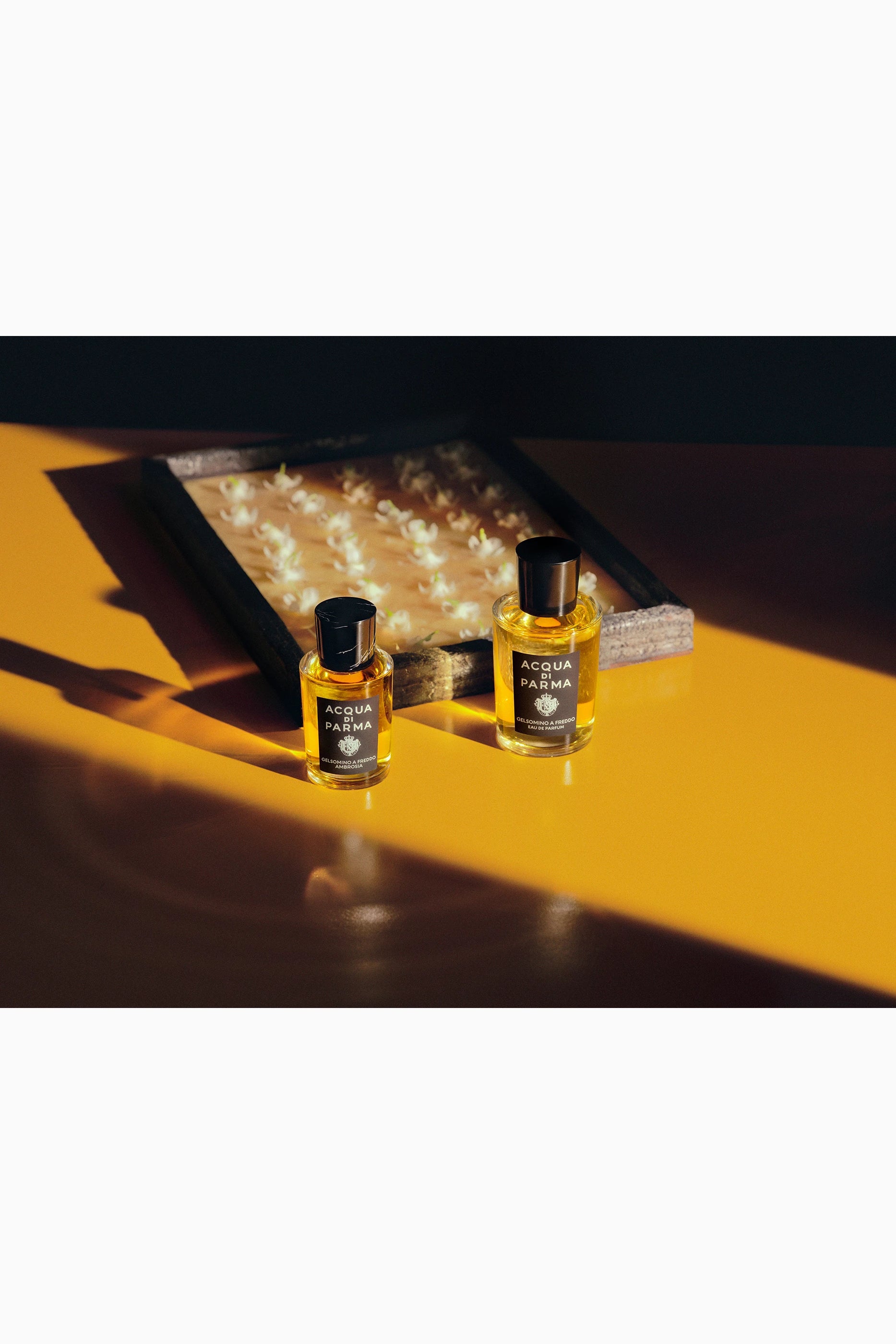 Gelsomino A Freddo Eau de Parfum