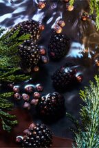 Elysium Noir Eau de Parfum
