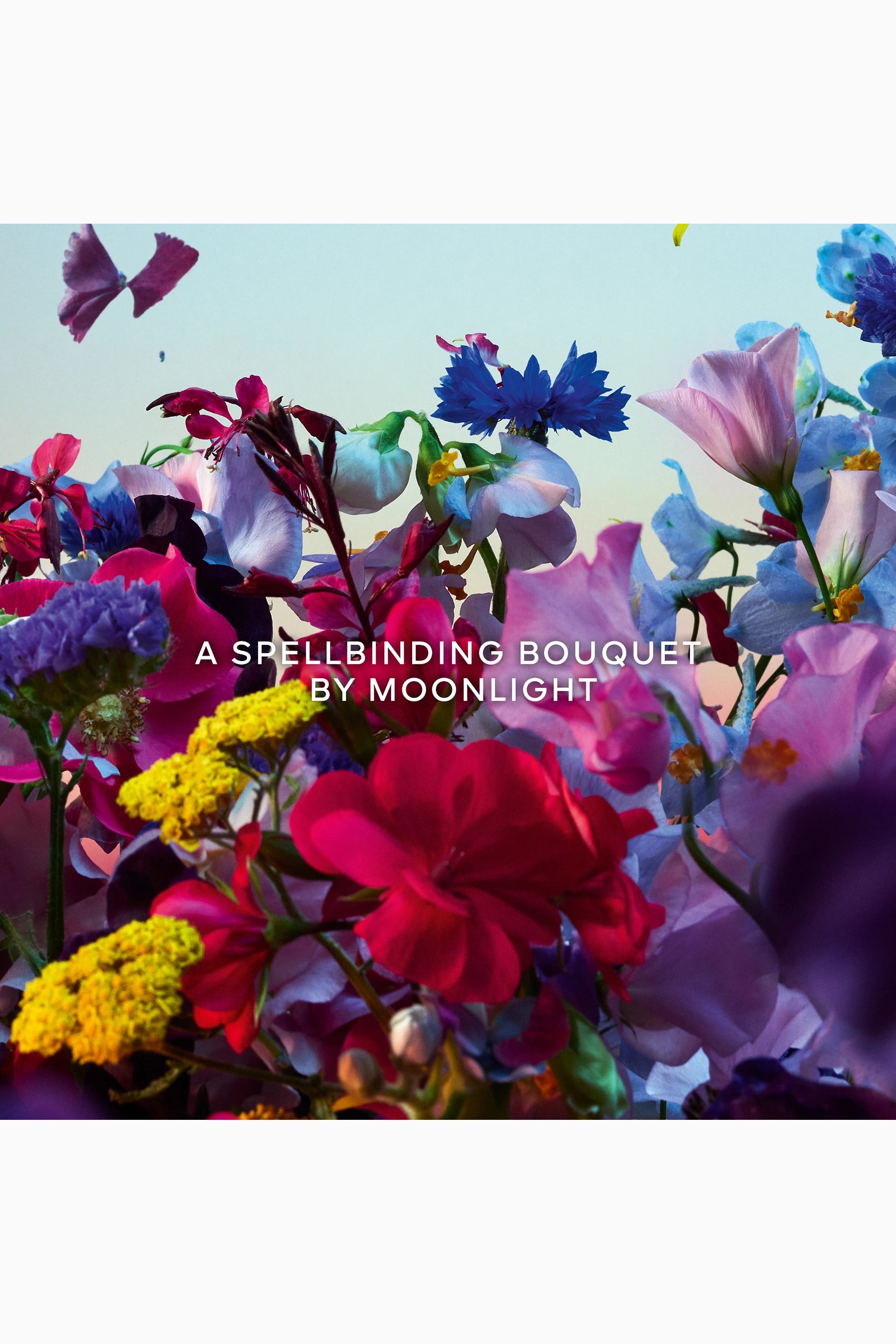 Absolus Allegoria Florabloom Eau de Parfum