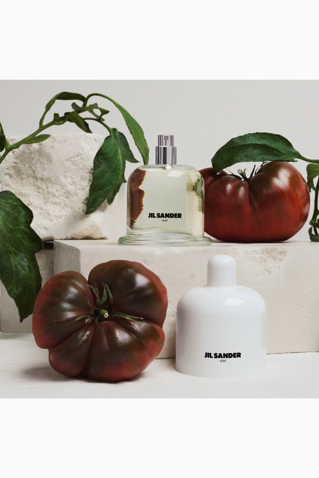 Leaf Eau de Parfum