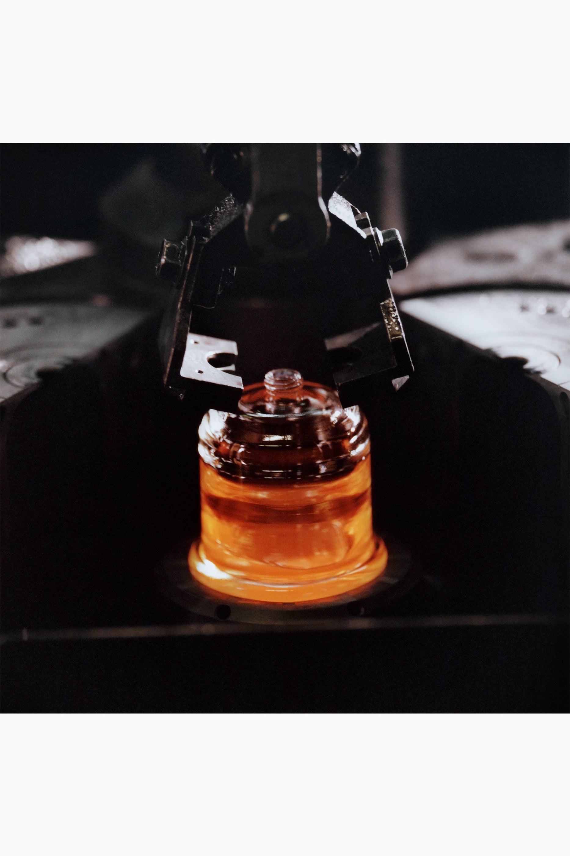 Coffea Eau de Parfum