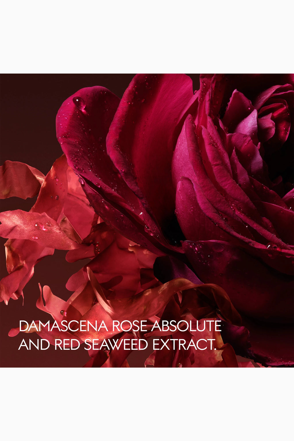Rosa Incandescente Eau de Parfum