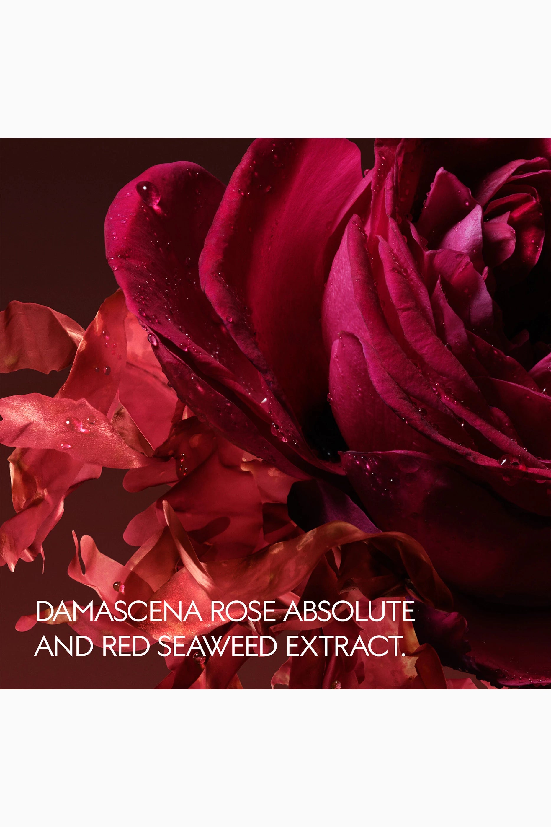 Rosa Incandescente Eau de Parfum