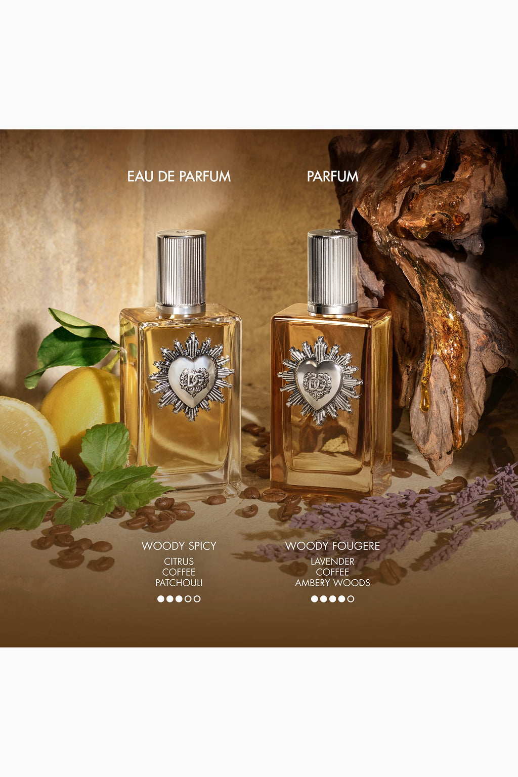 Devotion Pour Homme Parfum