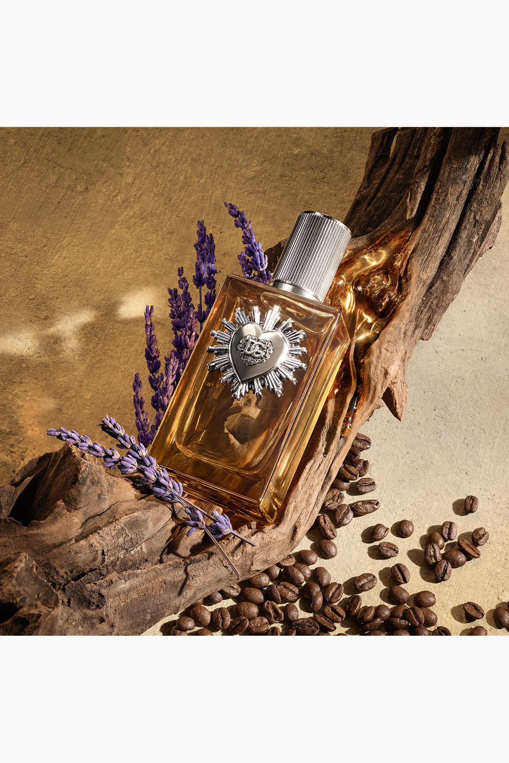Devotion Pour Homme Parfum