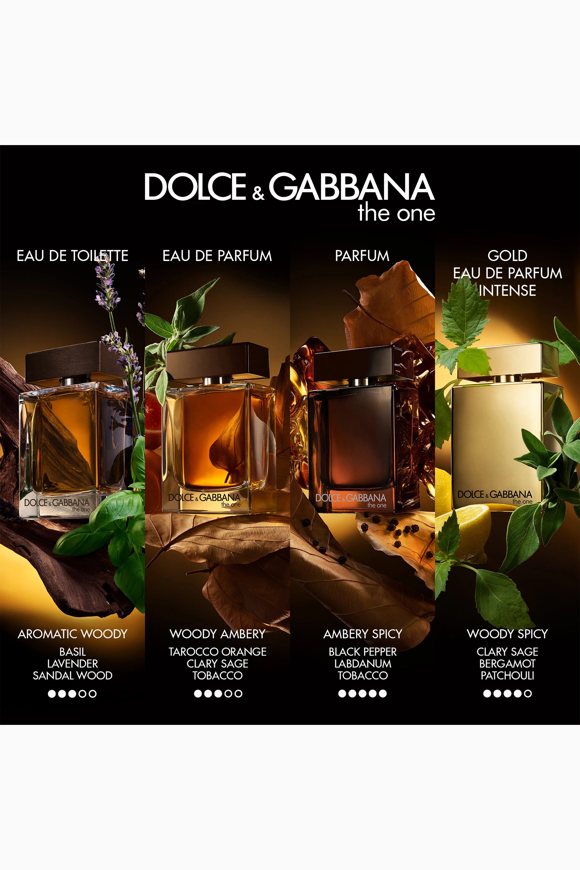 The One Eau de Parfum