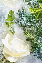 Isola Snow Parfum