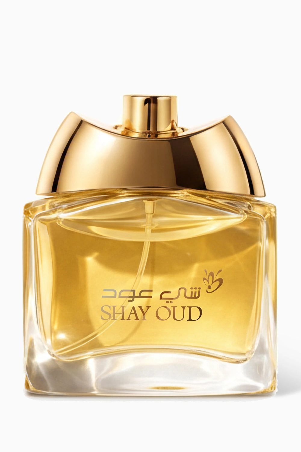 Shay Oud Pop