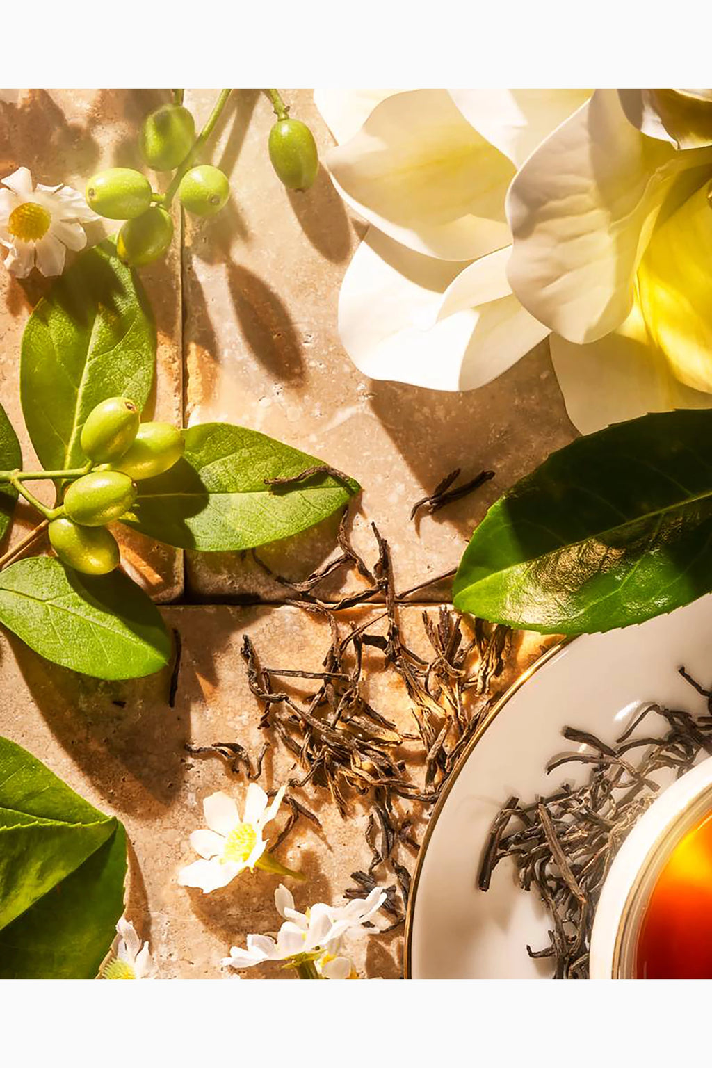 Serenity Blend Eau de Parfum