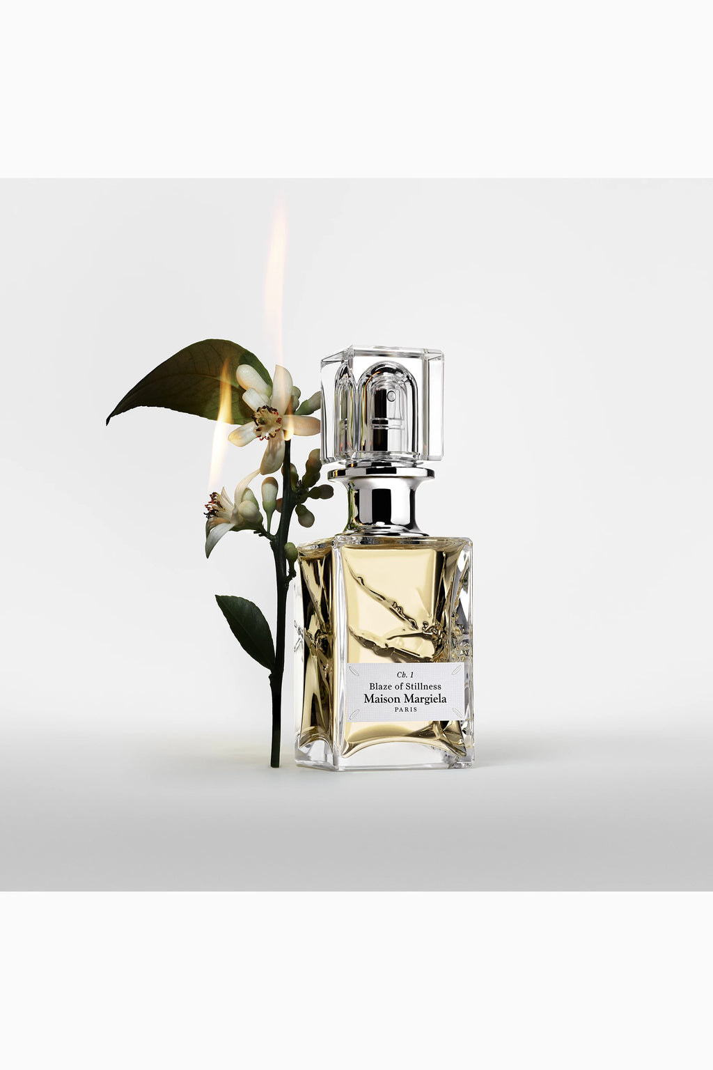 The Scentsorium Collection Blaze of Stillness Eau de Parfum