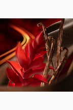 Polo Red Eau de Parfum Extreme